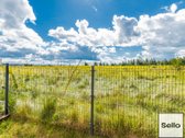  – Nt ekspertai be procentų - nuotraukos Nr. 4