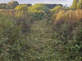 Sklypas su statybos leidimu, statyti galima - nuotraukos Nr. 15