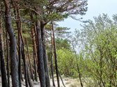 Kviečiame Į Atvirus Namus Rugsėjo 9 D. - nuotraukos Nr. 26