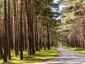 Kviečiame Į Atvirus Namus Rugsėjo 9 D. - nuotraukos Nr. 28