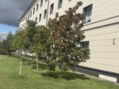 Nuomojamas 1 kambario butas Lvivo gatvėje su - nuotraukos Nr. 23
