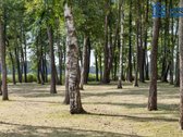 Čia kiekviena diena prasideda ežero ramybe, o - nuotraukos Nr. 60