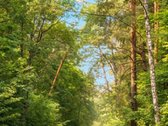 Erdvus, Prižiūrėtas, Kokybiškai Įrengtas - nuotraukos Nr. 30