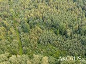 Verta Žinoti - nuotraukos Nr. 8