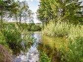 8,55 ha žemės sklypas su sodyba - nuotraukos Nr. 15