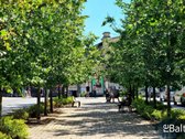 Išnuomojamas jaukus klasikinio stiliaus 2 - nuotraukos Nr. 22