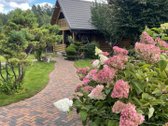 Parduodamas išskirtinės kokybės, pilnai - nuotraukos Nr. 10