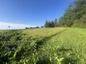Parduodamas 161,45 Kv.m. Namas Ramongalių K. - nuotraukos Nr. 32