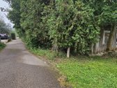 Svajojate apie ramybės oazę ranka - nuotraukos Nr. 2