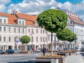 Vilniaus Senamiestyje, Maironio gatvėje, - nuotraukos Nr. 13