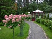 Išnuomuojamas naujai įrengtas dviejų kambarių - nuotraukos Nr. 32