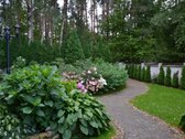 Išnuomuojamas naujai įrengtas dviejų kambarių - nuotraukos Nr. 33