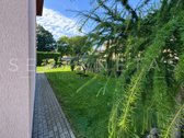 Kretingoje, Guobų aklg., Atokiau Miesto - nuotraukos Nr. 5