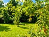Parduodama Jauki Sodybėlė Ant Lėvens Kranto – - nuotraukos Nr. 3