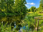 Parduodama Jauki Sodybėlė Ant Lėvens Kranto – - nuotraukos Nr. 7
