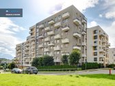 Nuomojamas šviesus 2 kambarių butas su didele - nuotraukos Nr. 21