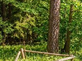 Parduodamas Išskirtinis Namų Valdos Sklypas - nuotraukos Nr. 17