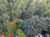 Nuomojamas erdvus, jaukus beveik 60 kv. m - nuotraukos Nr. 21