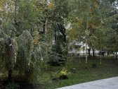Jaukus 2 Kambarių Butas Renovuotame Name – - nuotraukos Nr. 12