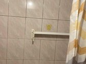 Išnuomojamas 3 kambarių butas ,nuomojami tik - nuotraukos Nr. 13