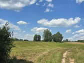 Parduodamas 60 arų namų valdos žemės sklypas - nuotraukos Nr. 3