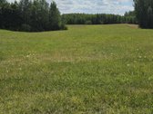 Parduodamas 60 arų namų valdos žemės sklypas - nuotraukos Nr. 4