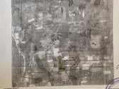 Parduodamas 60 arų namų valdos žemės sklypas - nuotraukos Nr. 5