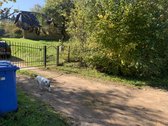 Parduomas senas namas, miško apsuptyje, su - nuotraukos Nr. 4