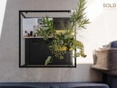 Apsigyvenus šiuose apartamentuose kasdien - nuotraukos Nr. 4