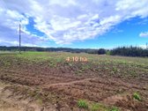 Parduodamas žemės ūkio paskirties 4,1066 ha - nuotraukos Nr. 3