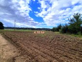 Parduodamas žemės ūkio paskirties 4,1066 ha - nuotraukos Nr. 2