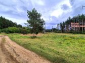 Parduodamas miško ūkio paskirties 0,8912 ha - nuotraukos Nr. 3