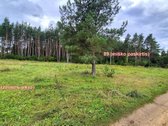 Parduodamas miško ūkio paskirties 0,8912 ha - nuotraukos Nr. 4