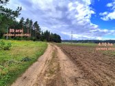 Parduodamas miško ūkio paskirties 0,8912 ha - nuotraukos Nr. 6