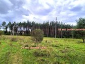 Parduodamas miško ūkio paskirties 0,8912 ha - nuotraukos Nr. 5