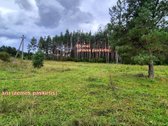 Parduodamas žemės ūkio paskirties 0,3049 ha - nuotraukos Nr. 5
