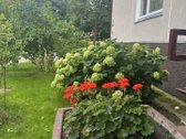 Žardininkų g. parduodamas suremontuotas 3 k. - nuotraukos Nr. 12