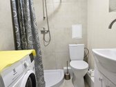 Išnuomojamas Vieno Kambario Butas Renovuotame - nuotraukos Nr. 9