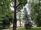 Nuomojamas Jaukus 2 Kambarių Butas Pačiame - nuotraukos Nr. 31