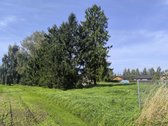 Parduodama sodyba - nuotraukos Nr. 30