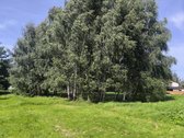 Parduodama sodyba - nuotraukos Nr. 34