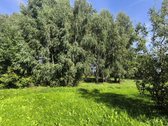 Parduodama sodyba - nuotraukos Nr. 35