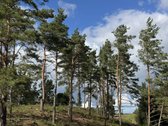 Parduodamas sklypas su vaizdais į Ilgių ežerą - nuotraukos Nr. 16