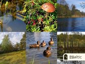 Parduodamas sklypas su vaizdais į Ilgių ežerą - nuotraukos Nr. 17