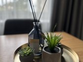 Jaukūs 2 Kambarių Apartamentai Žaliakalnyje  - nuotraukos Nr. 11