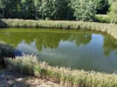 Parduodamas 1,49 ha sklypas Naujųjų - nuotraukos Nr. 5