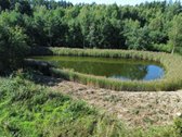 Parduodamas 1,49 ha sklypas Naujųjų - nuotraukos Nr. 6