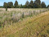 Parduodamas 1,49 ha sklypas Naujųjų - nuotraukos Nr. 7