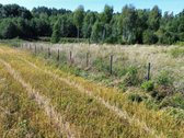 Parduodamas 1,49 ha sklypas Naujųjų - nuotraukos Nr. 8