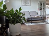 Išskirtinis 101 M² Butas Per Du Aukštus Su 4 - nuotraukos Nr. 10
